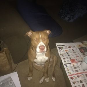 Meet your Posher, Brian